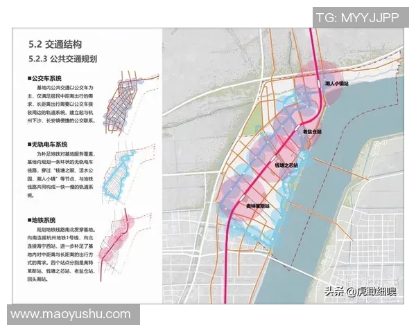 杭州排球队的整体压制分析与战术深度探讨