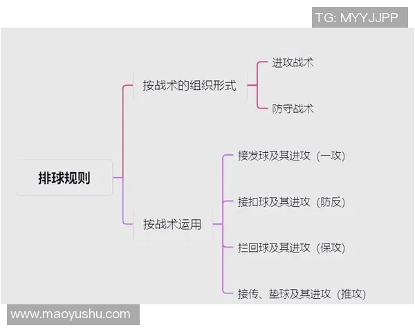 西安排球队反击体系解析与战术应用探讨