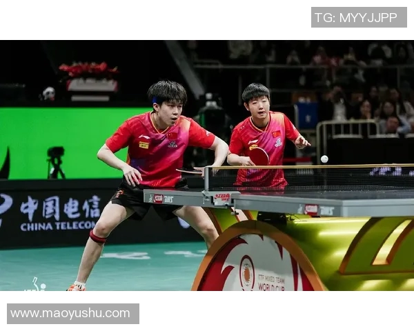 成都羽毛球队在世界杯赛场上的经验与表现分析 成都羽毛球队在世界杯赛场上的经验与表现分析