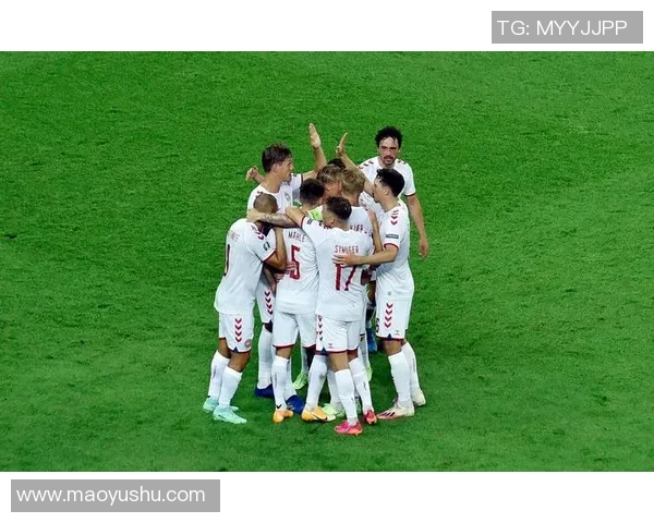 武汉网球队在欧锦赛中的战术意识与团队协作表现分析