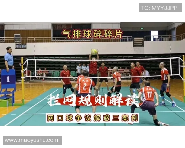 武汉排球队技术表现深度分析与数据解读探讨