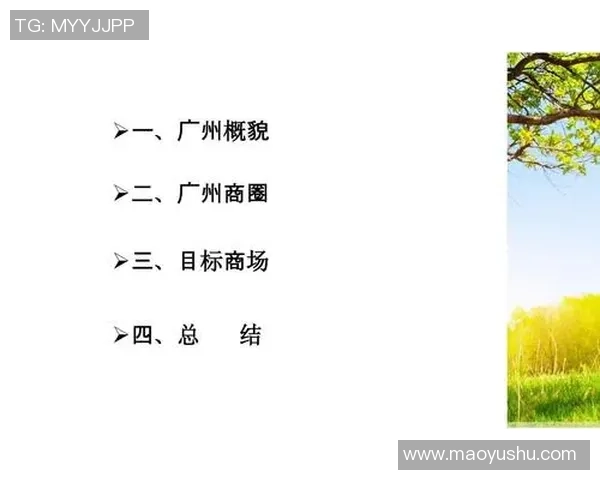 广州排球队在全国锦标赛中的团队协作表现分析与点评