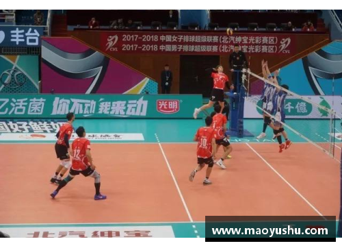 北汽男排继续保持不败，豪取五连胜稳坐榜首位置