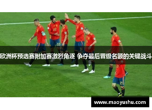 欧洲杯预选赛附加赛激烈角逐 争夺最后晋级名额的关键战斗