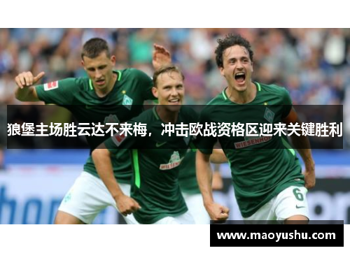 狼堡主场胜云达不来梅，冲击欧战资格区迎来关键胜利