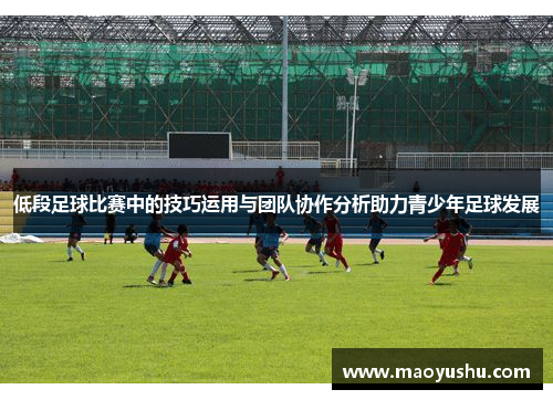 低段足球比赛中的技巧运用与团队协作分析助力青少年足球发展