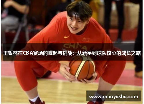 王哲林在CBA赛场的崛起与挑战：从新星到球队核心的成长之路