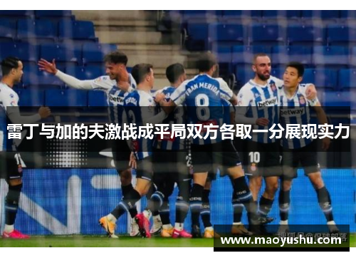 雷丁与加的夫激战成平局双方各取一分展现实力